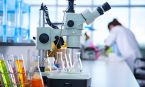 Insightful Science Lab
